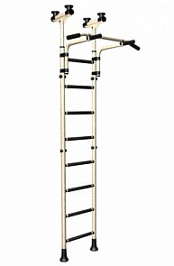 Спортивный комплекс Romana Мечта тинейджера ДСКМ-2-8.06.Г2.490.01-01