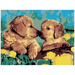 Раскраски по номерам - Знакомство, 30 х 40 см. (Белоснежка, 200-CE)