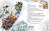 Книга из серии Классика нашего детства – Н. Носов Весёлые рассказы и Весёлая семейка  - миниатюра №1