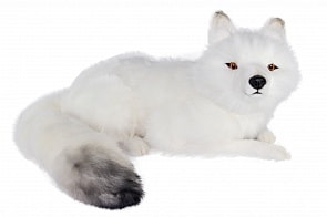 Песец лежащий, 60 см (Hansa, 7500)