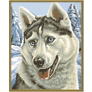 Раскраска по номерам - Хаски (Schipper, 9240393)