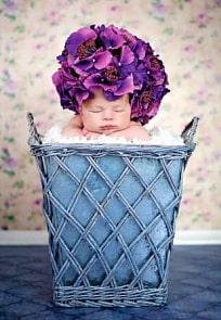 Пазл Castorland 1500 деталей Корзинка мечты (Castorland, C1500-151134)