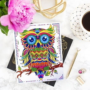 Набор для творчества - Алмазная мозаика Сова (Color Puppy, 70019)