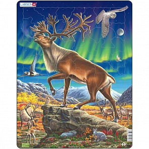 Пазл – Северный олень, 60 деталей (Larsen, FH26k)
