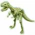 Оживи динозавра - ДНК Тираннозавра  - миниатюра №16