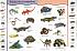Книга с забавными наклейками «Рептилии и амфибии» из серии Animal Planet  - миниатюра №1