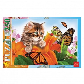 Пазлы 250 элементов – Котенок в цветах (Hatber, 250ПЗ3-10139)
