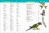 Энциклопедия для детского сада - Птицы  - миниатюра №3
