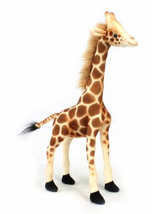 Мягкая игрушка – Жираф, 27 см 