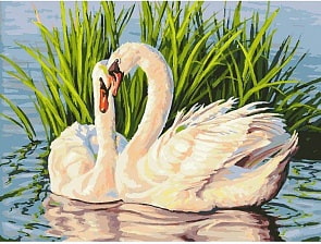 Раскраски по номерам - Навсегда, 30 х 40 см (Белоснежка, 065-AS)