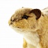 Мягкая игрушка Сибирский бурундук, 15 см  - миниатюра №4