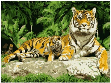 Раскраска по номерам Тигры 