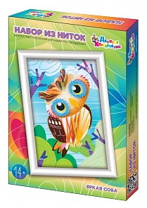 Набор для творчества - Плетение нитками по гвоздикам. Яркая сова (Десятое королевство, 03687ДК)