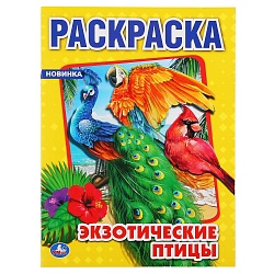 Первая раскраска А4 – Экзотические птицы (Умка, 978-5-506-04857-2) - миниатюра