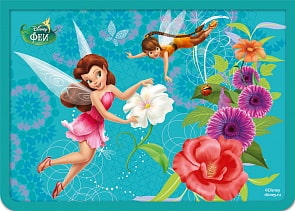 Папка для тетрадей на молнии Disney «Феи» А5 (Росмэн, 29445ros)