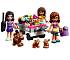 Конструктор Lego Friends - Дом дружбы  - миниатюра №9