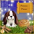 Игрушка-трансформер ТМ Sweet Pups - Сладкие щенки, 11 см  - миниатюра №8