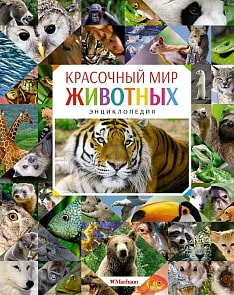Энциклопедия - Красочный мир животных (Махаон, 9785389124707)