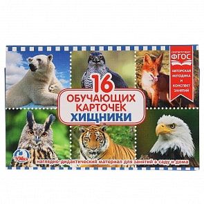 Карточки в папке – Хищники, 16 карточек (Умка, 4690590144367)