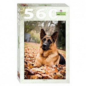 Пазл – Немецкая овчарка, 560 деталей (Step Puzzle, 78107)