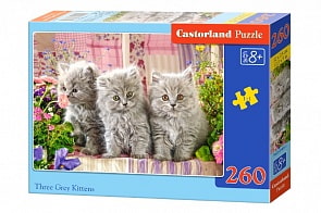 Пазлы Castorland - Серые котята, 260 элементов (Castorland, B-27491)