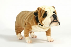 Мягкая игрушка - Английский бульдог, 75 см (Hansa, 5626)