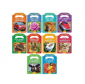 Комплект из 5 книг серии Мир в ладошке 1 (Росмэн, 35483)