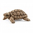 Игровой набор - Домик для черепах  - миниатюра №4