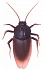 Робо-таракан на ИК управлении - Robo Life, коричневый  - миниатюра №1