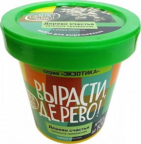 Набор для выращивания растений - Дерево счастья катальпа (Зеленый Капитал, zk-068)