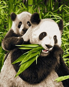 Картина для раскрашивания - Панды, 24х30 см. (Schipper, 9240712)