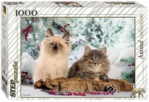 Пазл Кошки, 1000 элементов (Step Puzzle, 79089)