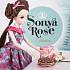 Кукла Sonya Rose из серии Daily collection - Вечеринка День Рождения  - миниатюра №1