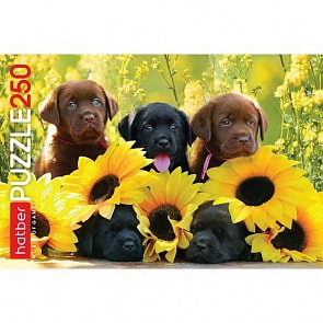 Пазлы 250 элементов – Щенки (Hatber, 250ПЗ3-08580)