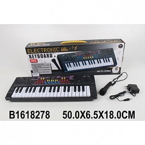 Электроорган с микрофоном (B1618278)