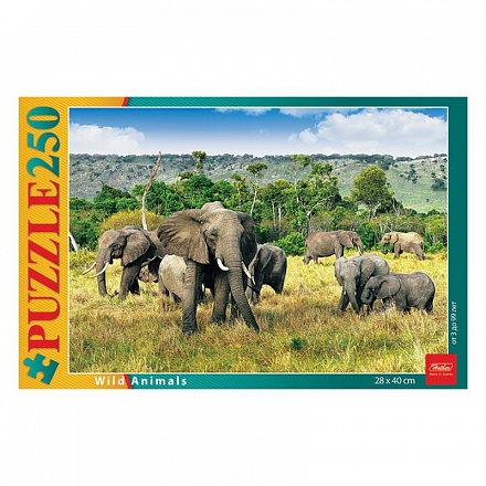 Пазлы 250 элементов – Слоны в саванне 