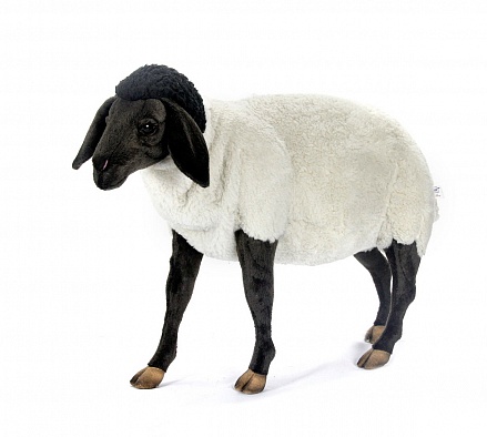 Суффолкская овечка, 65 см 