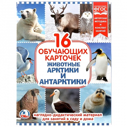 Карточки в папке – Животные Арктики и Антарктиды, 16 обучающих карточек 