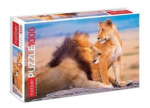 Пазл 1000 элементов – Львиное царство (Hatber, 1000ПЗ2-18663)
