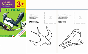 Раскраска с наклейками – Птицы (Мозаика-Синтез, МС00671)
