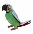 Мягкая игрушка – Зеленый попугай, 37 см  - миниатюра №4