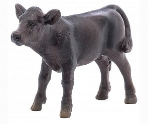 Игровая фигурка – Черный теленок породы Абердин-Ангус (Schleich, 13768k)