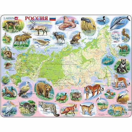 Пазл - карта Россия, 100 деталей 