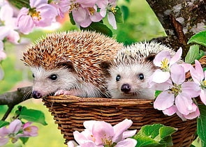 Пазлы Castorland Животные – Ежики, 120 деталей (Castorland, B-13319)