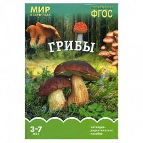 Карточки в папке из серии Мир в картинках – Грибы, соответствуют ФГОС (Мозаика-Синтез, МС10919)