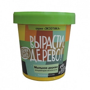 Набор для выращивания растений - Мыльное дерево (Зеленый капитал, zk-058)