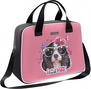 Сумка для спорта и путешествий Erich Krause 21 L Clever Dog (Erich Krause, 44605)