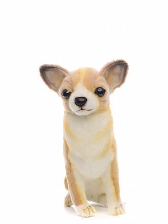 Мягкая игрушка - Собака породы Чихуахуа, 31 см. 