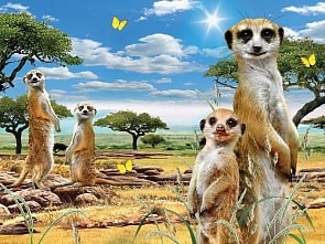 Пазл Super 3D - Сурикаты, 100 деталей (Prime 3D, 13717)